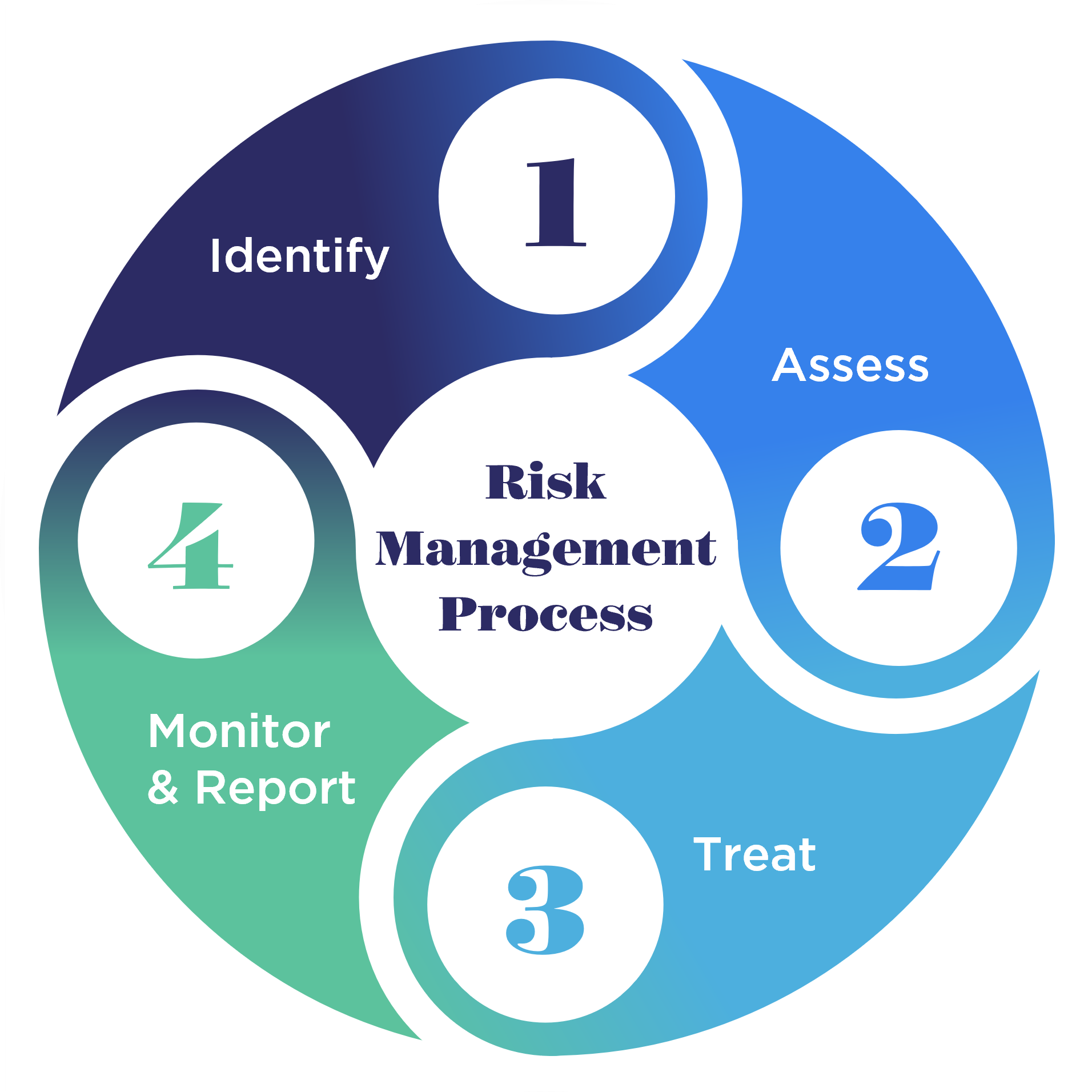 Safeguarding Success with Strategic Risk Management